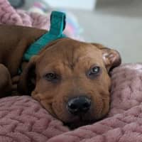 Photo of Marnie