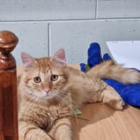 Photo of Charlie