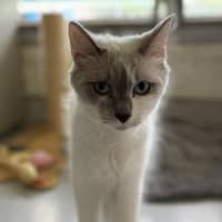 Photo of Luna