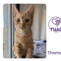 Photo of Thomas