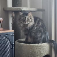 Photo of Molly Lozano