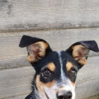 Photo of Parker