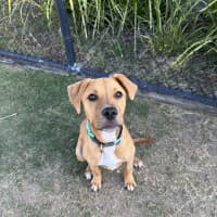 Photo of Butters