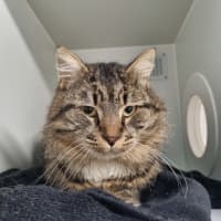 Photo of Andre