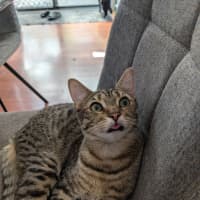 Photo of Geoffrey 