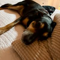 Photo of Delia