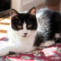 Photo of Gretel Moriarty