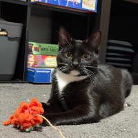 Photo of Novah