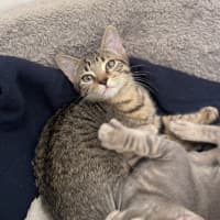 Photo of Lily