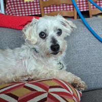 Photo of Simon Babbington