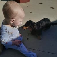 Photo of Daisy