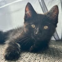 Photo of Bruce