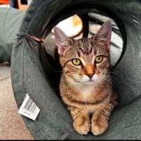 Photo of Ethel