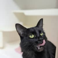 Photo of 🍓 Miriam 5923 🍓