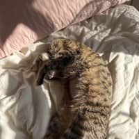 Photo of Fendi