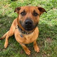 Photo of Biggie Paws