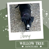 Photo of Jinny