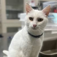 Photo of Moffy (0899)