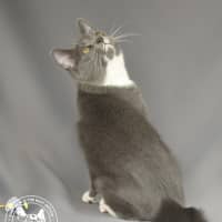 Photo of Millson