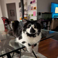 Photo of Junior