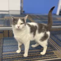 Photo of Priscilla 