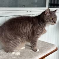 Photo of Barney