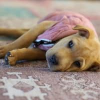 Photo of Winnie