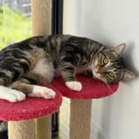 Photo of 12433   Parker