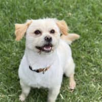 Photo of Krispy Kreme 