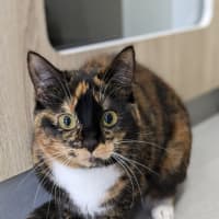 Photo of 🎀 Xanthe 5652 🎀