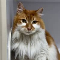 Photo of June