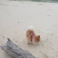 Photo of Grace