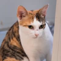 Photo of Hazel Moriarty