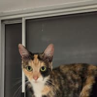 Photo of Hazel 