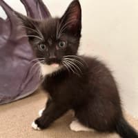 Photo of Kat