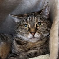 Photo of Tilly Sua013231