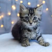 Photo of Zoey Moonlight