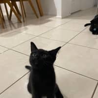 Photo of Friday