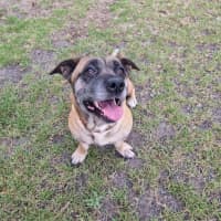 Photo of Wilma Imp 2408