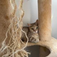 Photo of Astrid & Nova