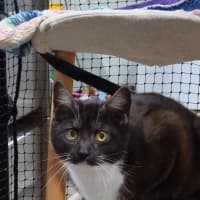 Photo of White Socks