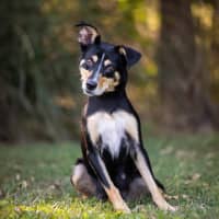 Photo of Kelsey (Twinkle)