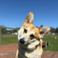 Photo of Hamilton