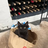 Photo of Wednesday
