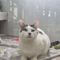 Photo of Theodore