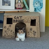 Photo of Barbara Meet Me@Petstock Mornington Nepean Hwy