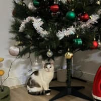 Photo of Hazel