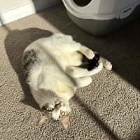 Photo of Yuki