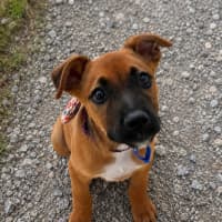 Photo of Tex
