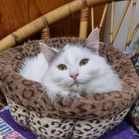 Photo of Jamilla Aka Milla